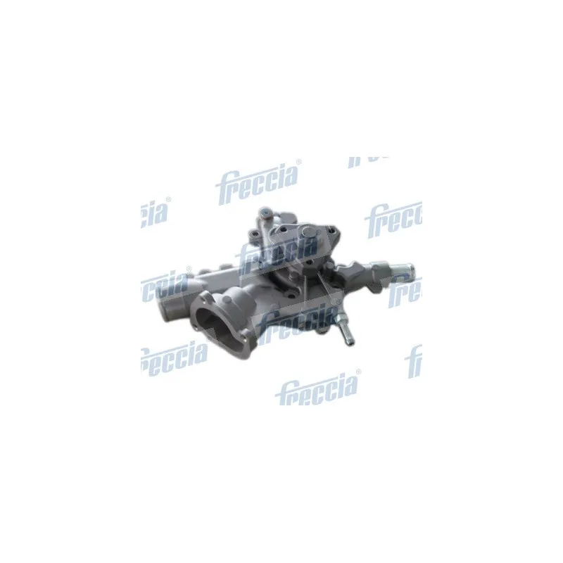 Pompe à eau FRECCIA WP0120