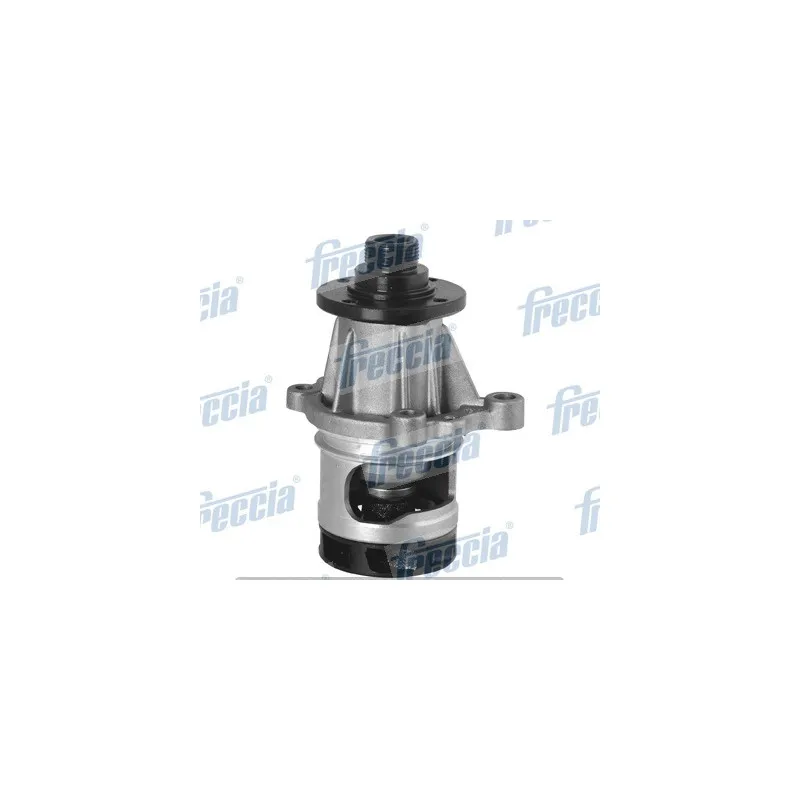 Pompe à eau FRECCIA WP0198