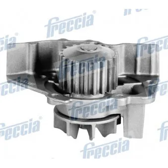Pompe à eau FRECCIA WP0201