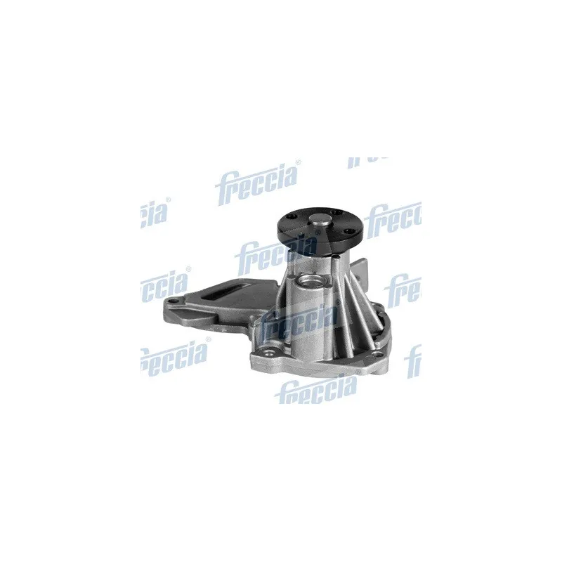Pompe à eau FRECCIA WP0229