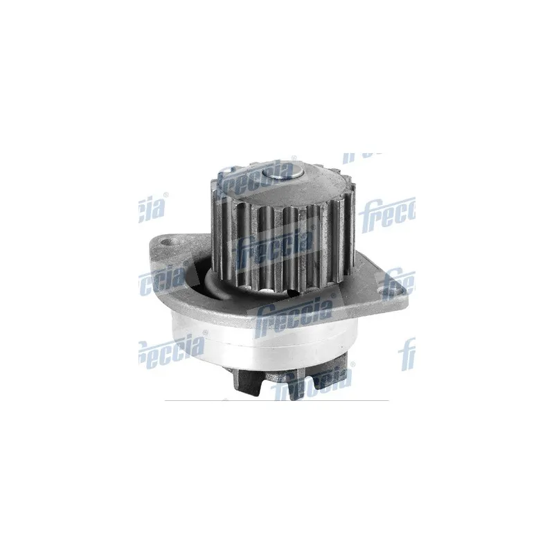 Pompe à eau FRECCIA WP0250
