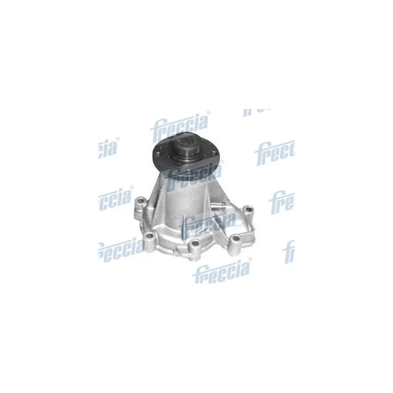 Pompe à eau FRECCIA WP0355