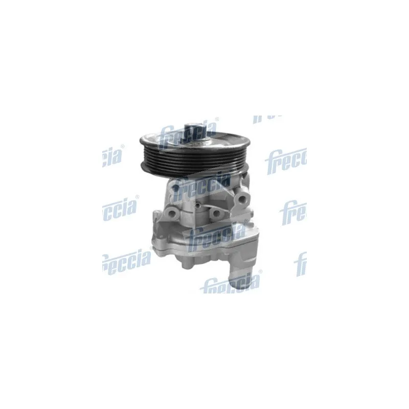Pompe à eau FRECCIA WP0438
