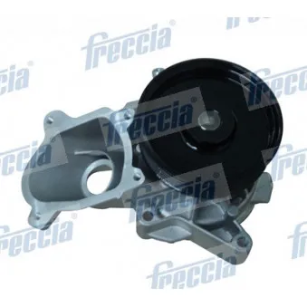 Pompe à eau FRECCIA WP0490