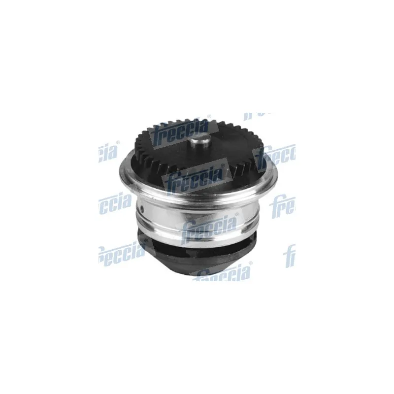 Pompe à eau FRECCIA WP0545