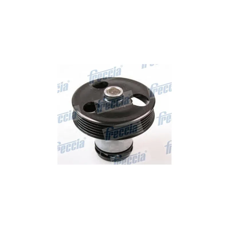 Pompe à eau FRECCIA WP0549