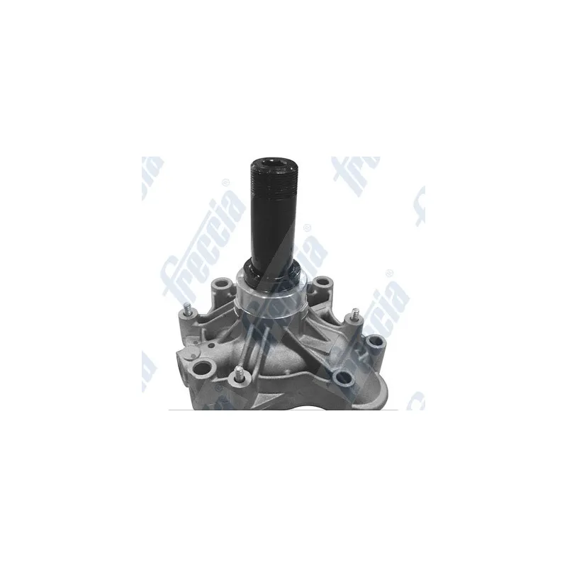 Pompe à eau FRECCIA WP0554