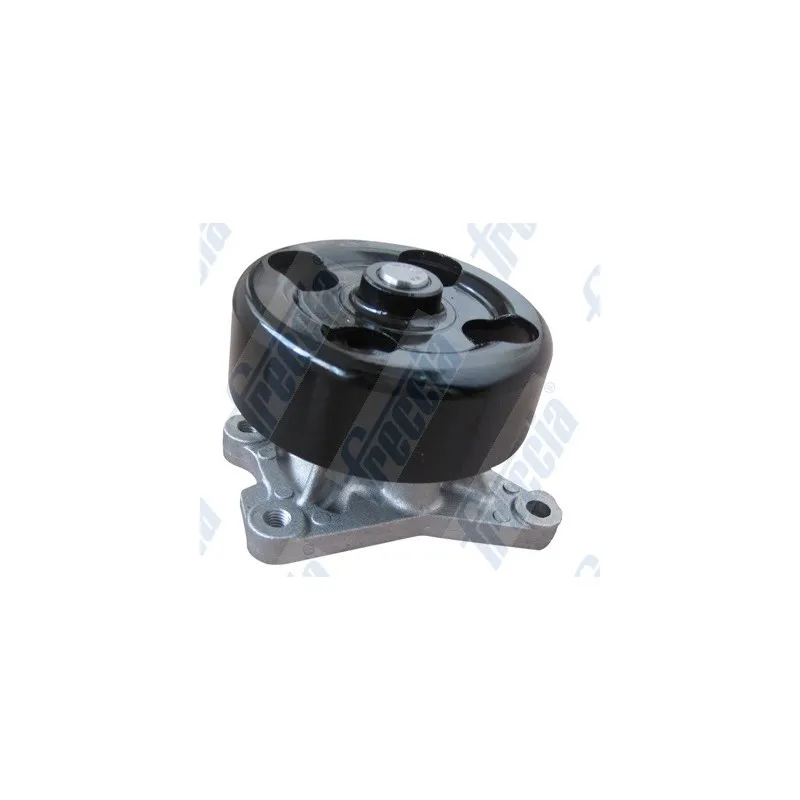 Pompe à eau FRECCIA WP0557