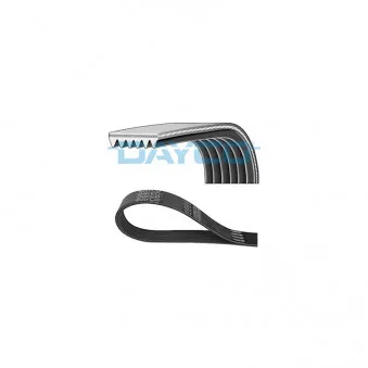 Courroie trapézoïdale à nervures DAYCO 6PK1025
