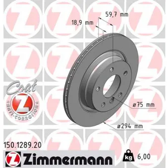 Jeu de 2 disques de frein arrière ZIMMERMANN