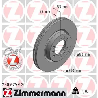 Jeu de 2 disques de frein avant ZIMMERMANN 230.6259.20