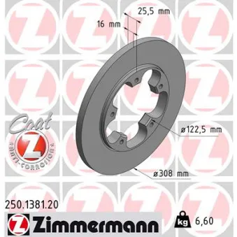 Jeu de 2 disques de frein arrière ZIMMERMANN 250.1381.20