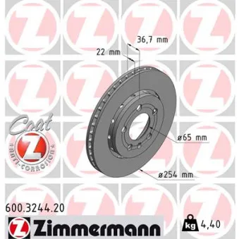 Jeu de 2 disques de frein arrière ZIMMERMANN 600.3244.20