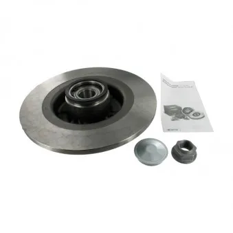 Jeu de 2 disques de frein arrière SKF VKBD 1009