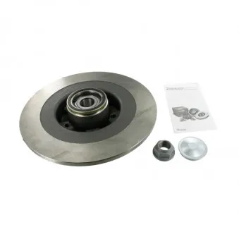 Jeu de 2 disques de frein arrière SKF VKBD 1010