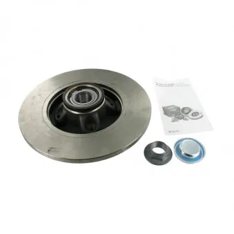Jeu de 2 disques de frein arrière SKF VKBD 1016
