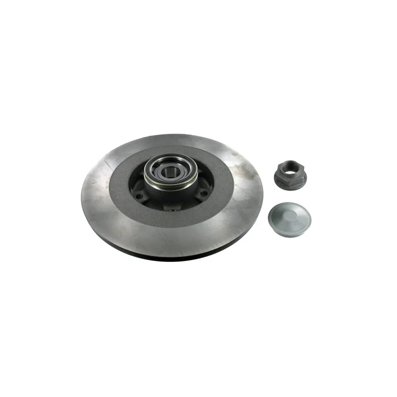 Jeu de 2 disques de frein arrière SKF VKBD 1019
