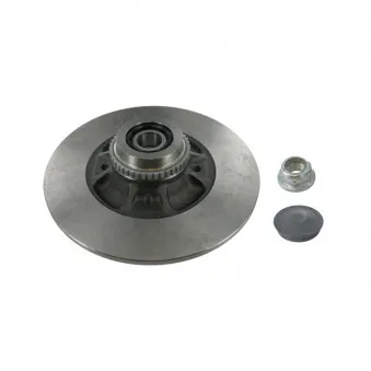 Jeu de 2 disques de frein arrière SKF VKBD 1025