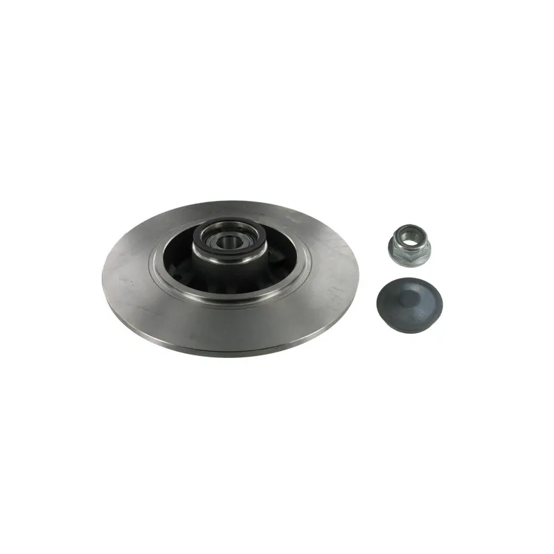 Jeu de 2 disques de frein arrière SKF VKBD 1026