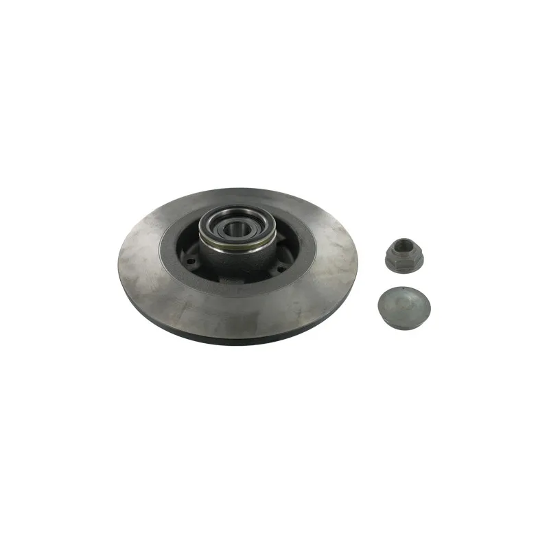 Jeu de 2 disques de frein arrière SKF VKBD 1028