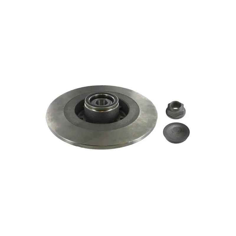 Jeu de 2 disques de frein arrière SKF VKBD 1029