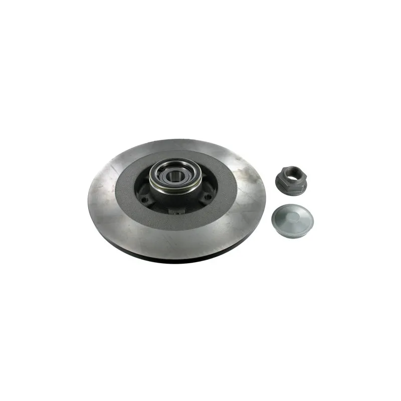 Jeu de 2 disques de frein arrière SKF VKBD 1030
