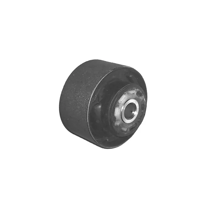 Silent bloc de suspension (train avant) SKF VKDS 332021
