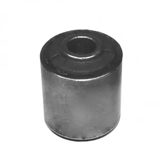 Silent bloc de suspension (train avant) SKF VKDS 333023