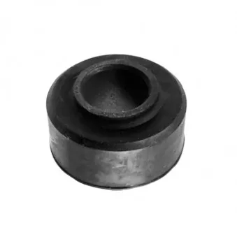 Silent bloc de suspension (train avant) SKF VKDS 333030