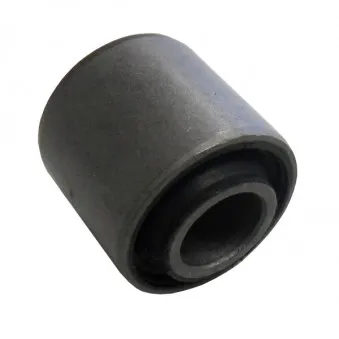 Silent bloc de suspension (train avant) SKF VKDS 336038