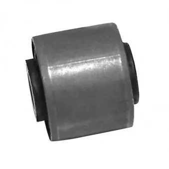 Silent bloc de suspension (train avant) SKF VKDS 434006