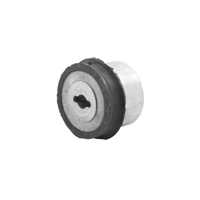 Silent bloc de suspension (train arrière) SKF VKDS 435001