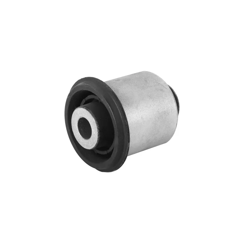 Silent bloc de suspension (train arrière) SKF VKDS 438016