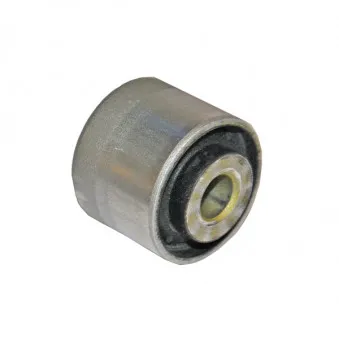 Silent bloc de suspension (train arrière) SKF VKDS 438022