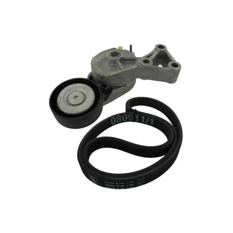 Jeu de courroies trapézoïdales à nervures SKF VKMA 31001