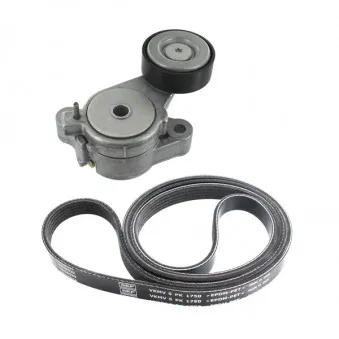 Jeu de courroies trapézoïdales à nervures SKF VKMA 31125