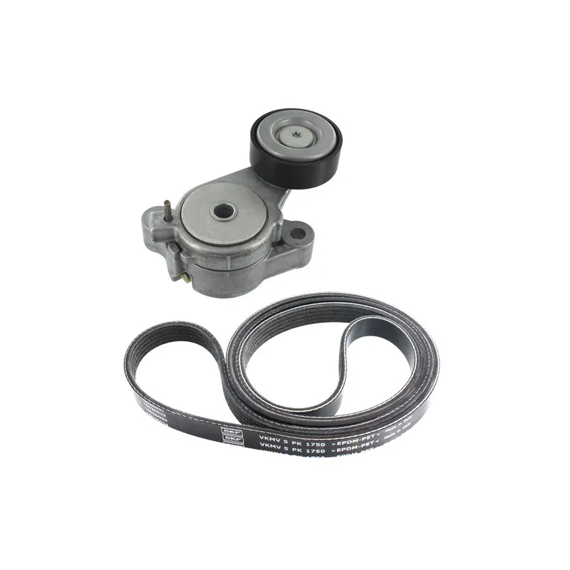 Jeu de courroies trapézoïdales à nervures SKF VKMA 31125