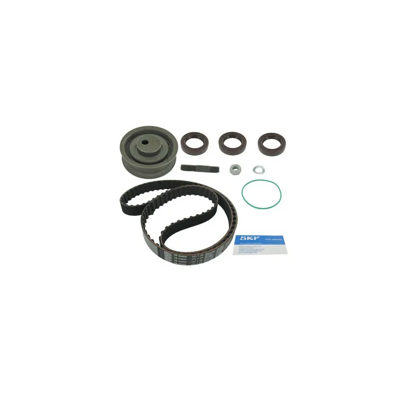 Kit de distribution SKF VKMS 01000