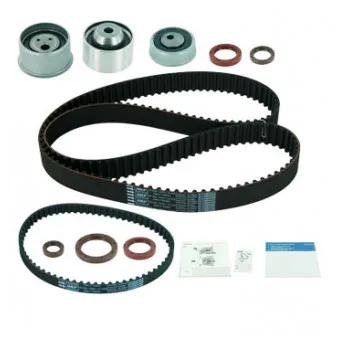 Kit de distribution SKF VKMS 95666