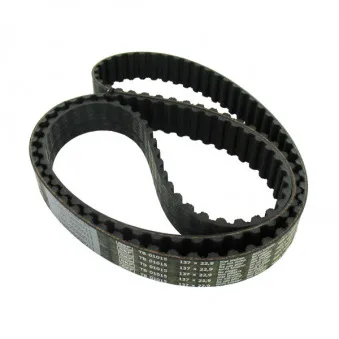 Courroie crantée SKF VKMT 01015