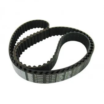 Courroie crantée SKF VKMT 01019