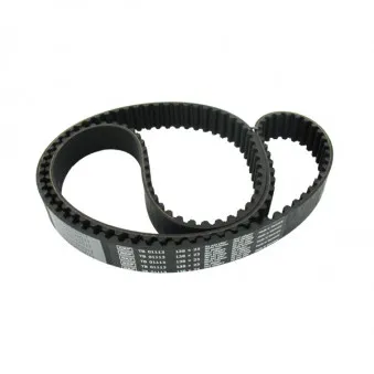 Courroie crantée SKF VKMT 01113