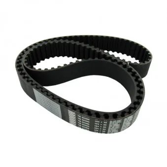 Courroie crantée SKF VKMT 02386