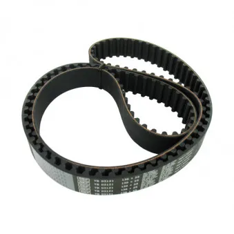 Courroie crantée SKF VKMT 03121