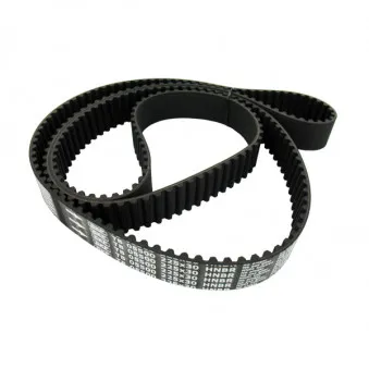 Courroie crantée SKF VKMT 05500