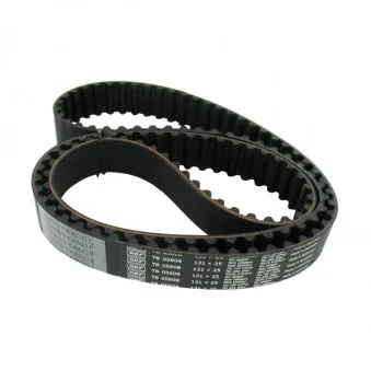 Courroie crantée SKF VKMT 05609