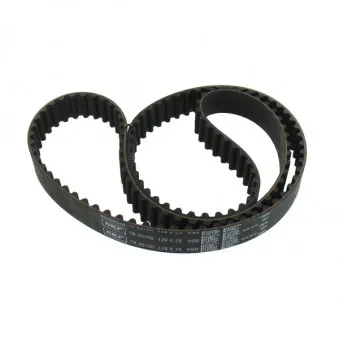 Courroie crantée SKF VKMT 05700