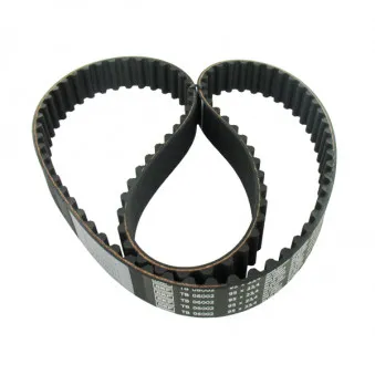 Courroie crantée SKF VKMT 06002