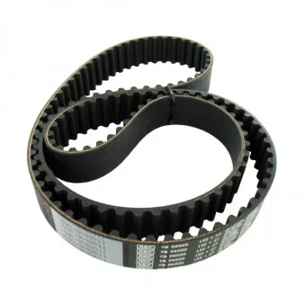 Courroie crantée SKF VKMT 06020