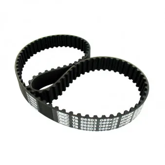 Courroie crantée SKF VKMT 06503
